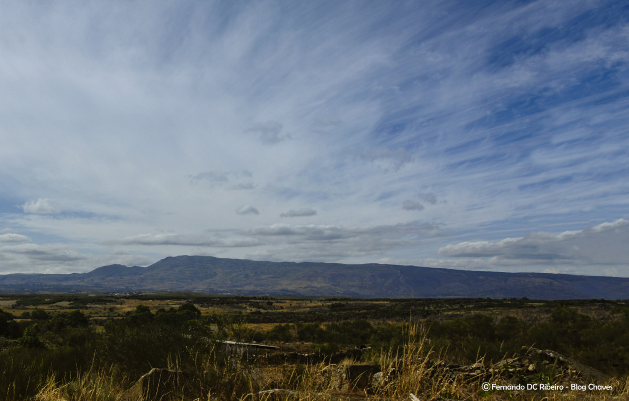 soutelinho (608)-granjo.jpg