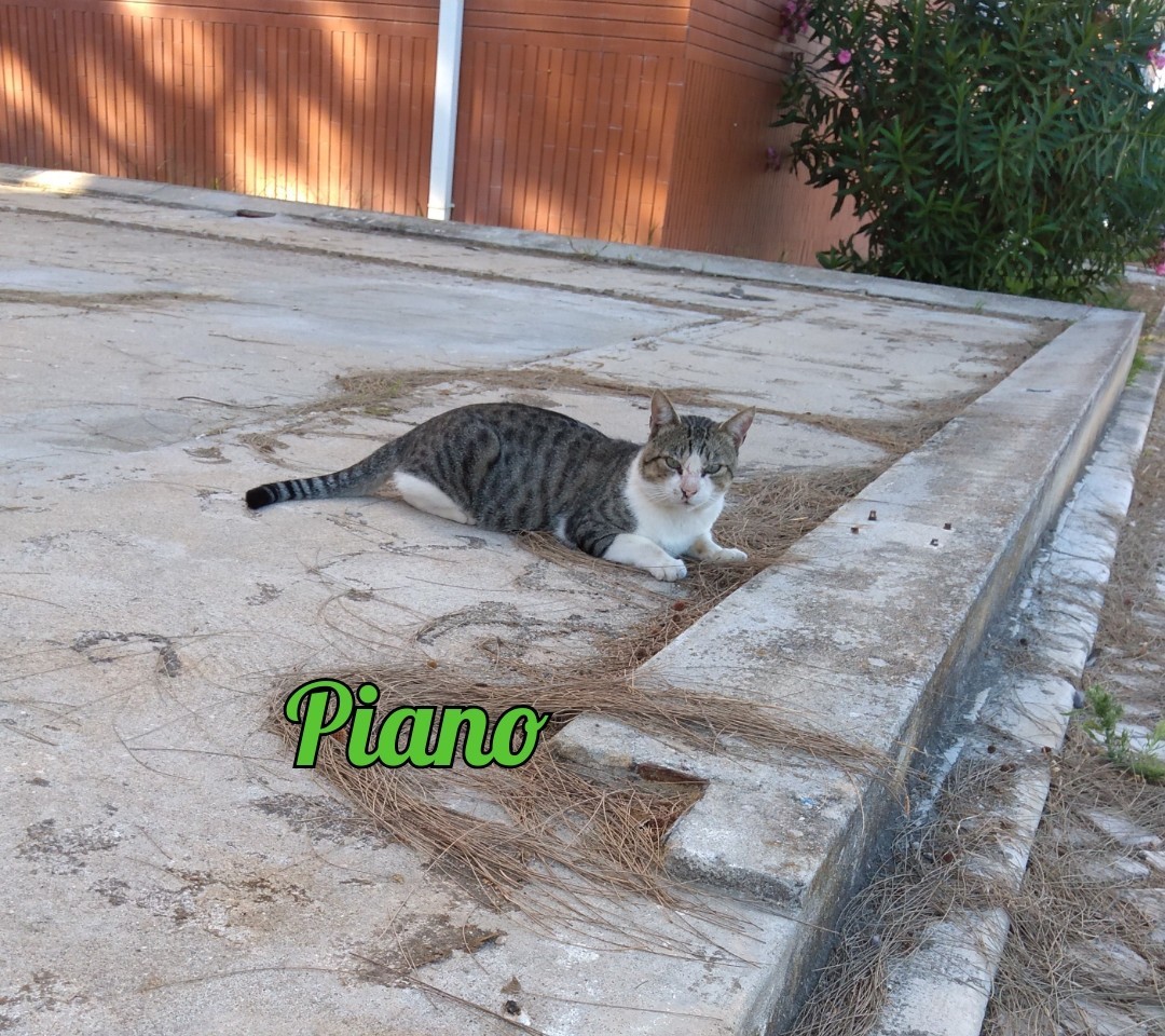 SquarePic_20190828_17275123.jpg SquarePic_20190828_17275123.jpg