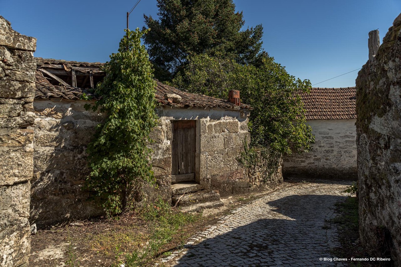 30-1600-ventuzelos (50).jpg