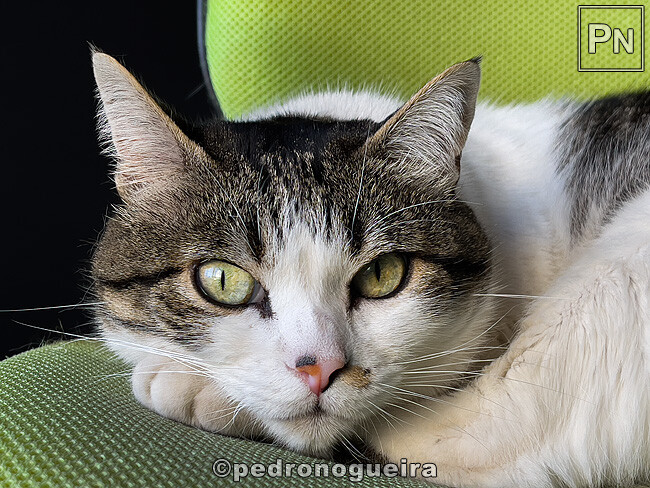 Abr_2024_040 650px.jpg