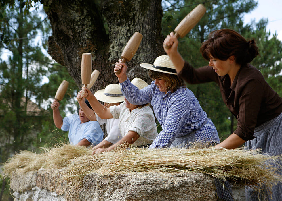 ««TASCAR» O LINHO NO «MAÇADORO» PARA O TORNA