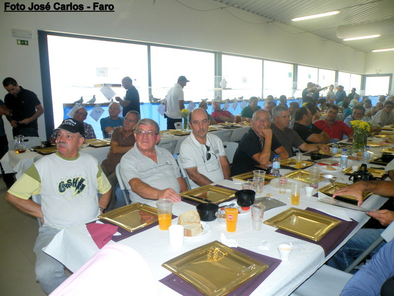 Leilão Serpa 2017 038.JPG