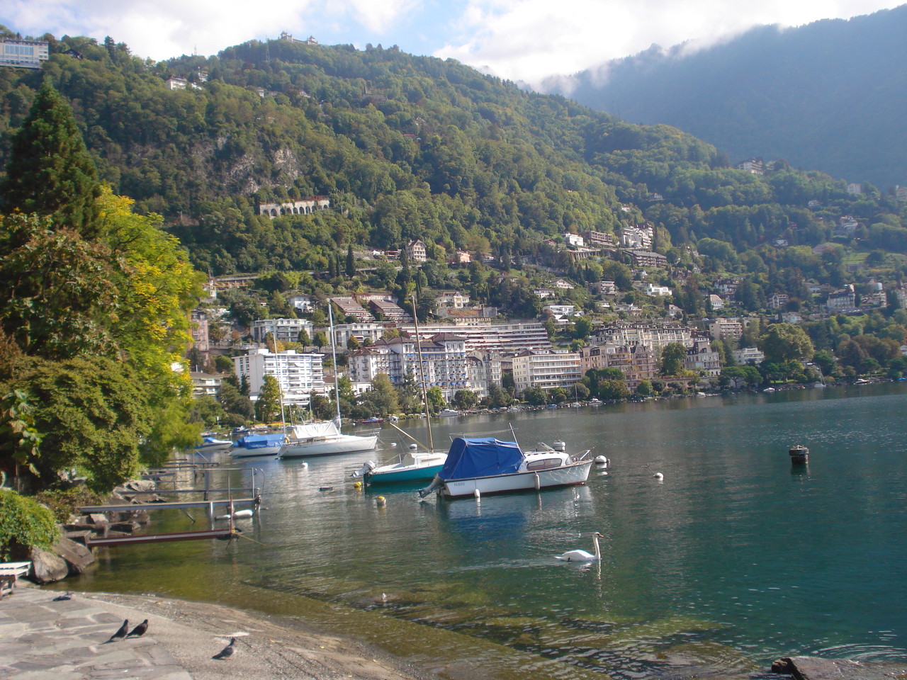 DSC00108.JPG DSC00108.JPG