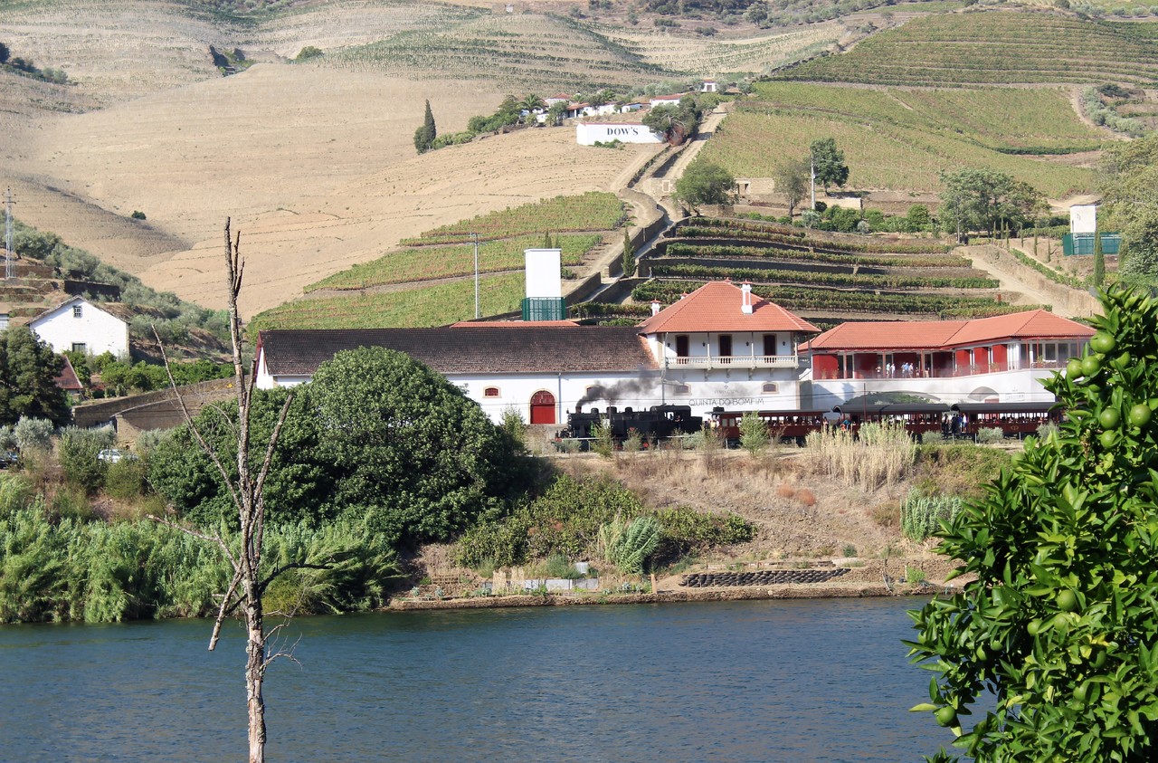 Quinta das Carvalhas - Real Companhia Velha