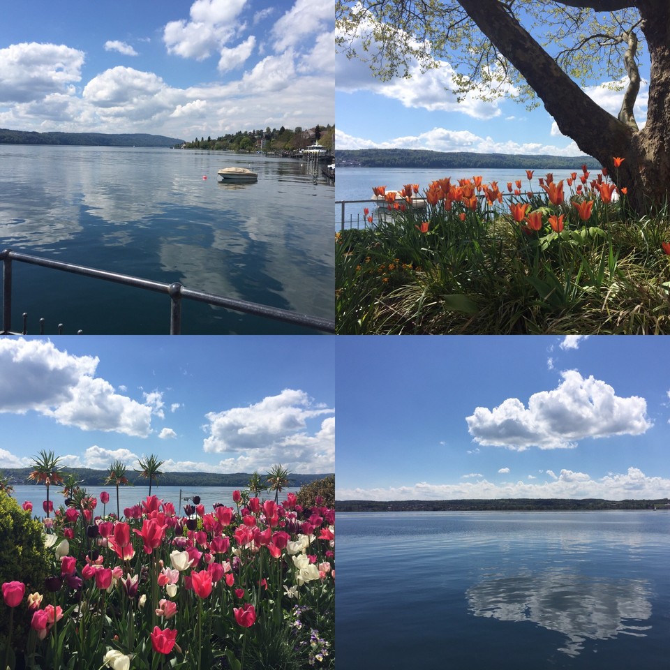 IMG_3014.JPG IMG_3014.JPG