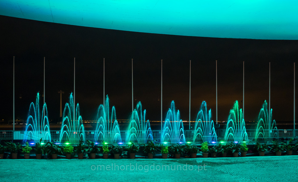 P5270146.jpg P5270146.jpg