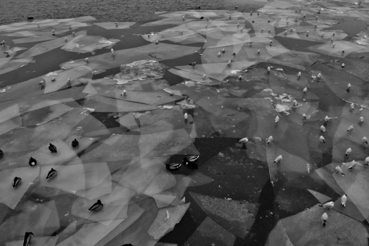 IMG_5093.JPG IMG_5093.JPG