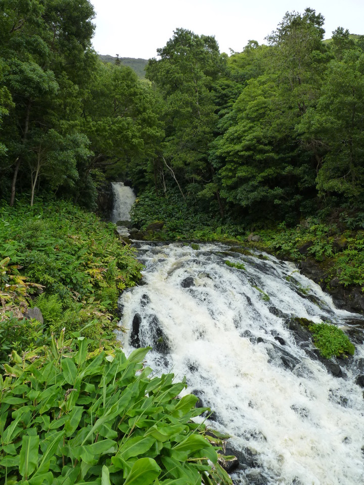 Ribeira do Ferreiro - Ilha das Flores - Açores (1