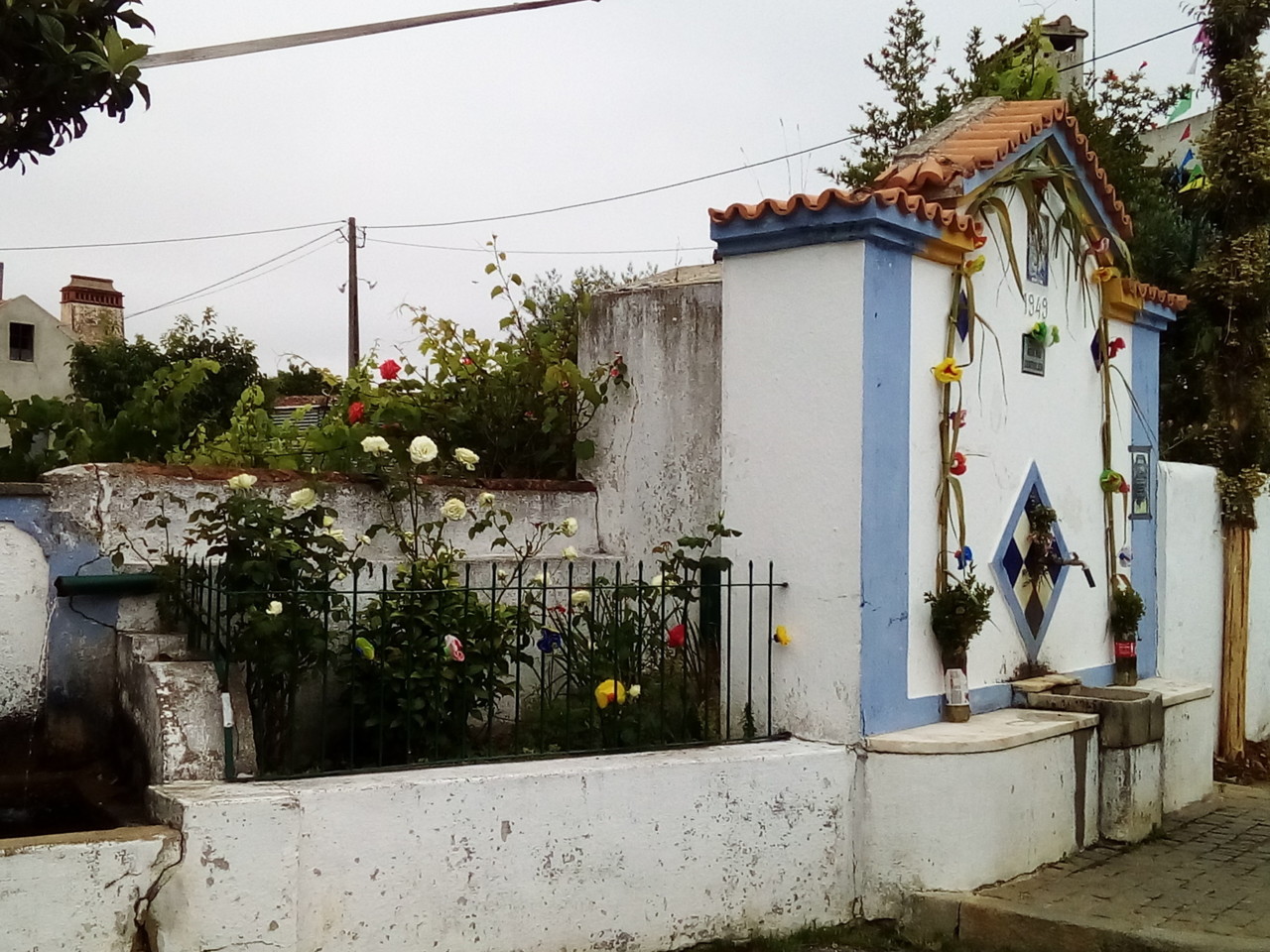 IMG_20180625_105339.jpg IMG_20180625_105339.jpg