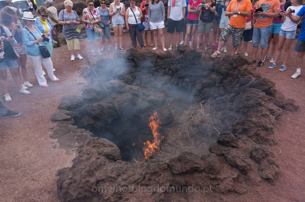 _DSC7327.jpg _DSC7327.jpg