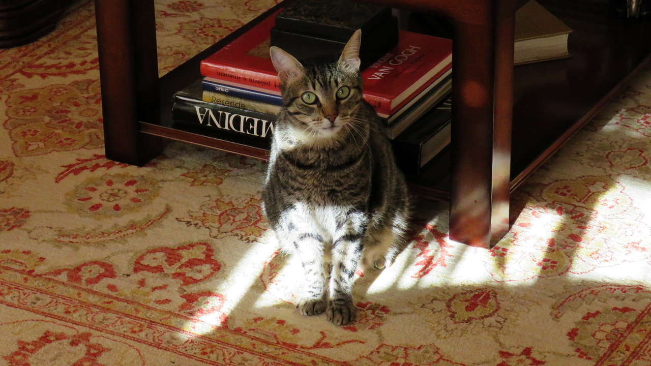 2017-11-11 15-44-32_0028.jpg 2017-11-11 15-44-32_0028.jpg