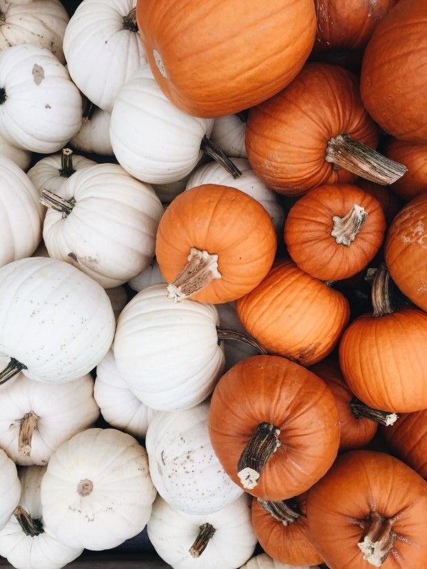 1D93D66B-FCA2-4A04-BB71-486B22097F16.jpeg 1D93D66B-FCA2-4A04-BB71-486B22097F16.jpeg