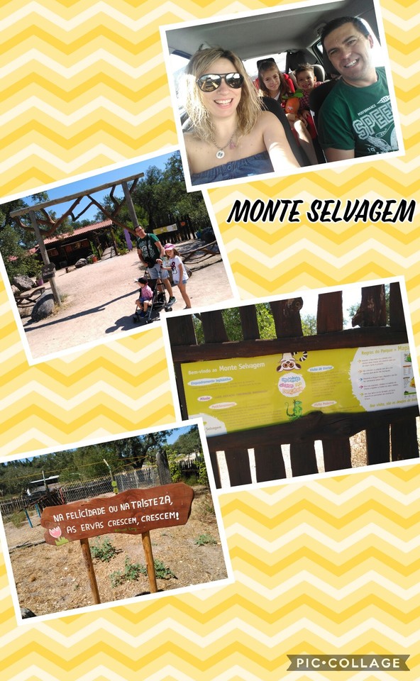 Collage 2017-07-22 22_43_26.jpg Collage 2017-07-22 22_43_26.jpg