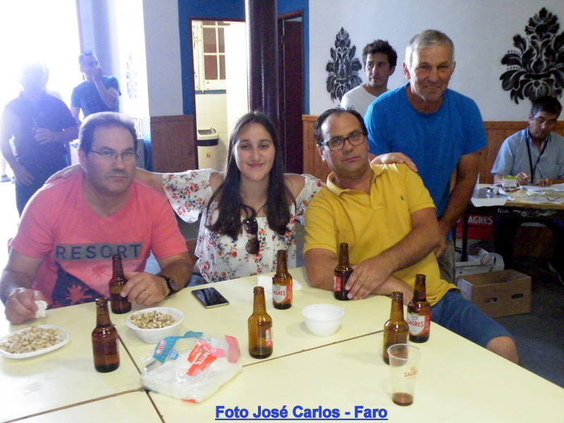 Leilão Ervidel 2017 049.JPG