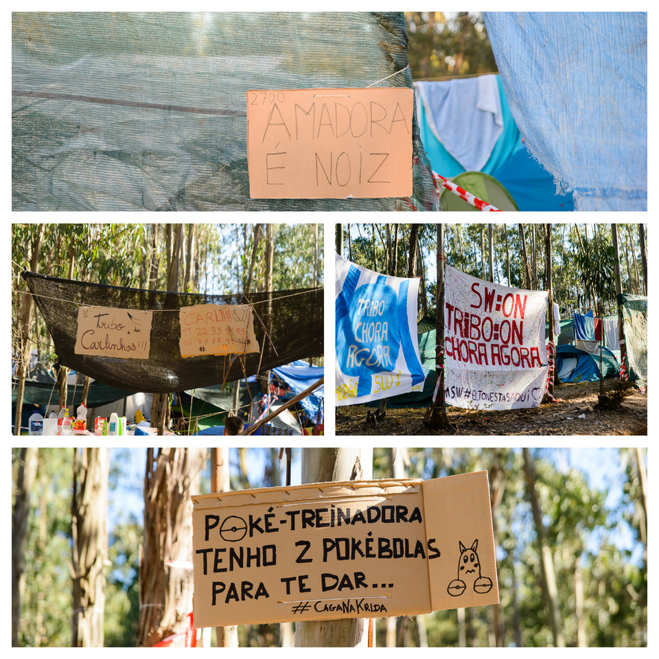 Meo SW 2016 - 040_Fotor_Collage.jpg