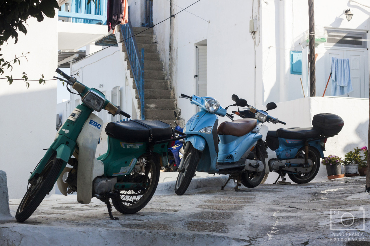 IMG_5793_net_redimensao.jpg IMG_5793_net_redimensao.jpg