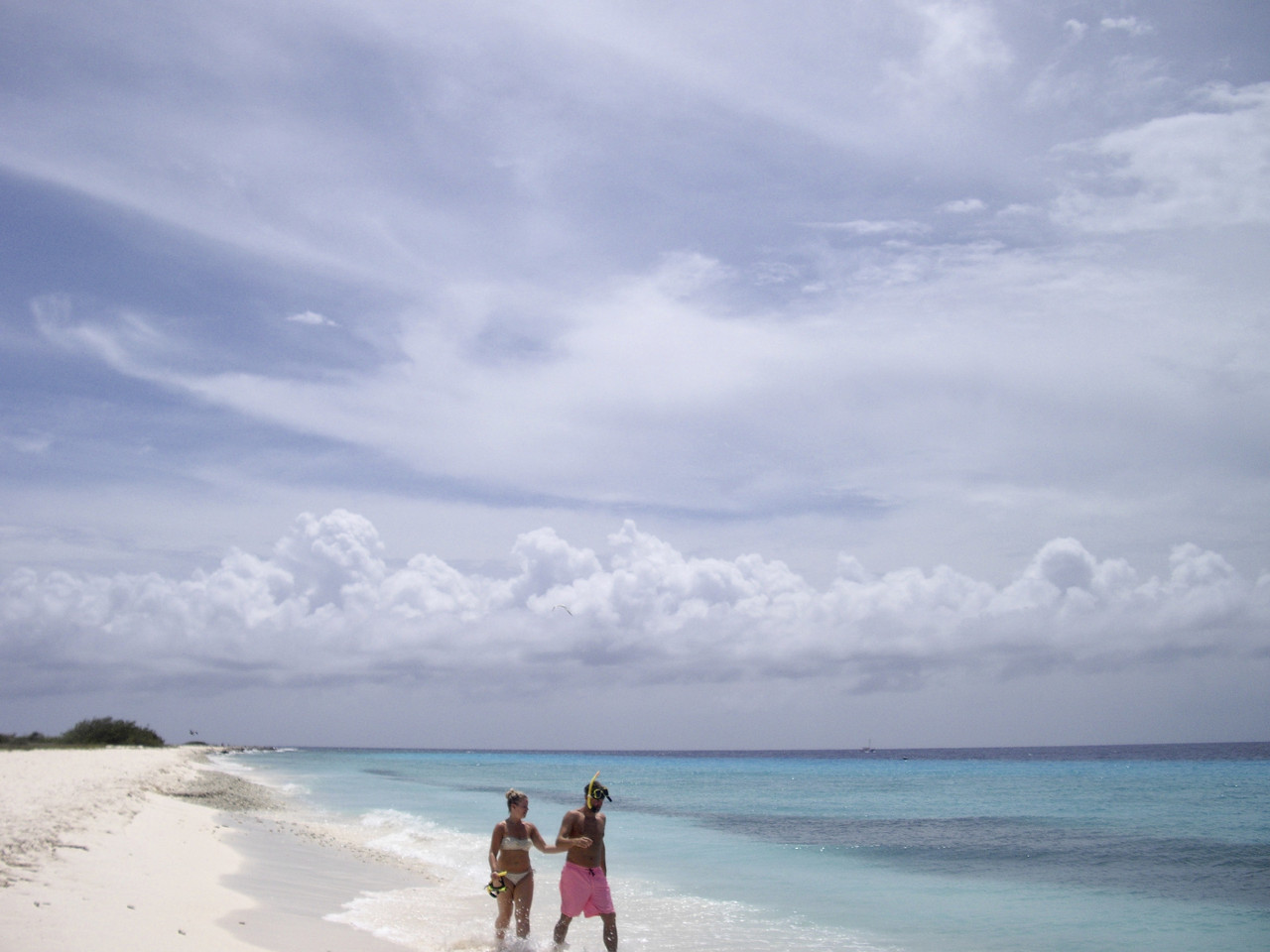 fullsizeoutput_1541.jpeg fullsizeoutput_1541.jpeg