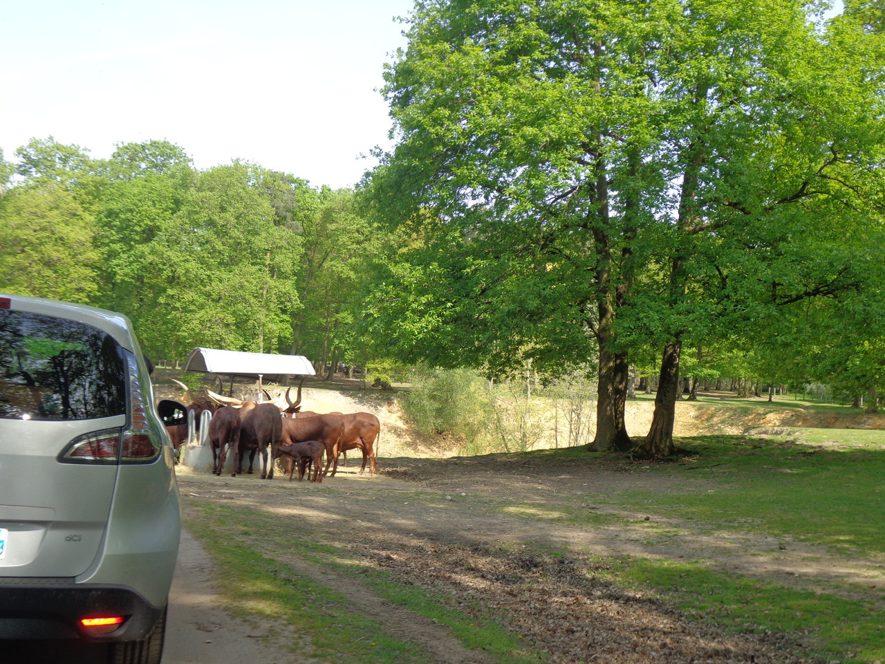 DSC09332.JPG DSC09332.JPG