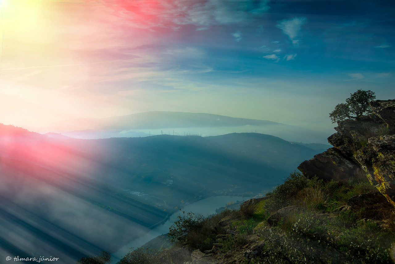 2015 - Outono no Douro Vinhateiro IIII (304).jpg