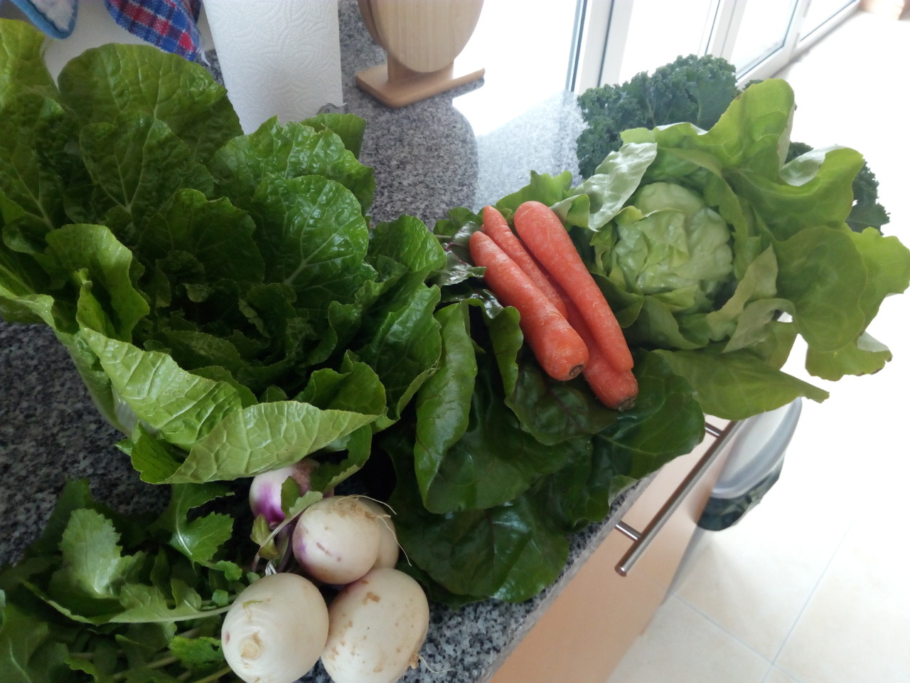 IMG_20180309_113900.jpg IMG_20180309_113900.jpg