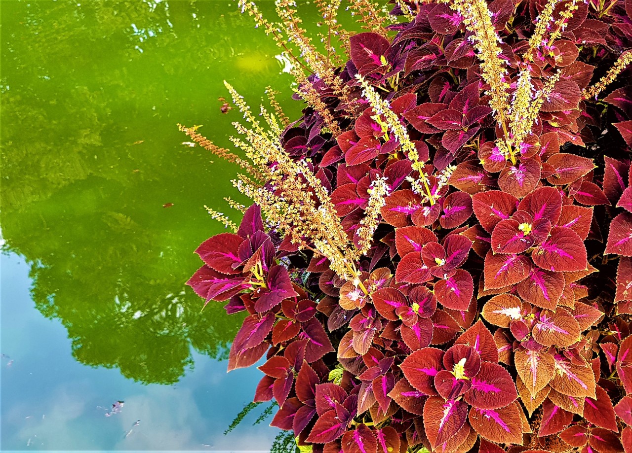 20170816_101542 (2).jpg