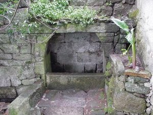 aespfr0.jpg aespfr0.jpg