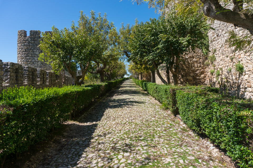 DSC01503.jpg DSC01503.jpg