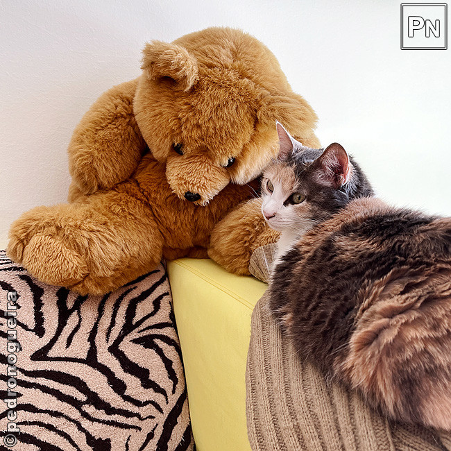 Mar_2021_041a 650px.jpg