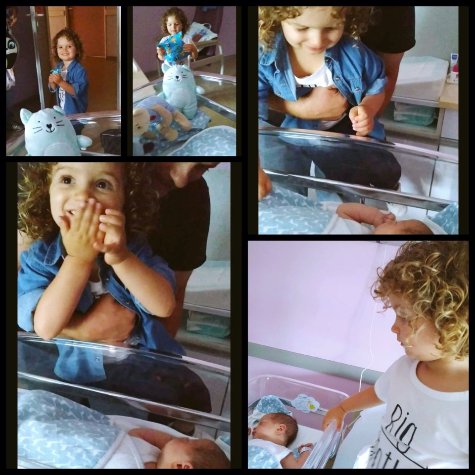 IMG_0298.JPG IMG_0298.JPG