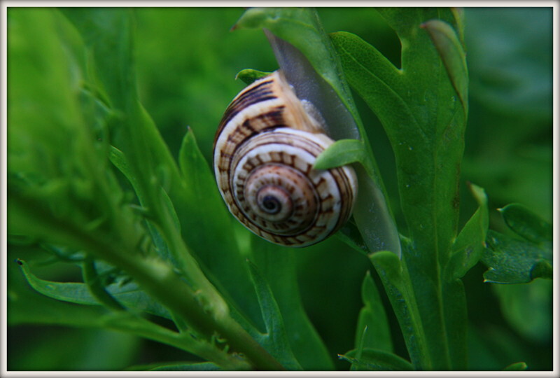 Cais da Paria 072.jpg