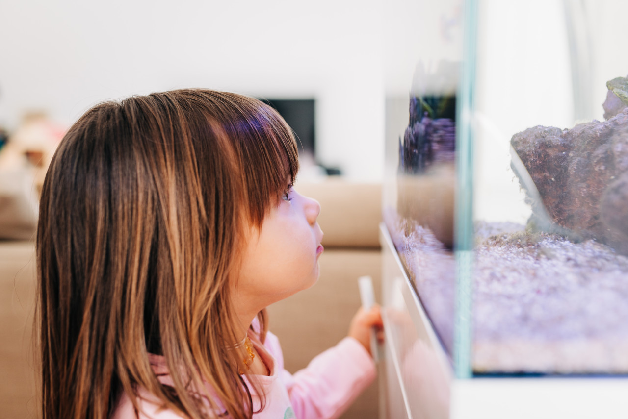 maternidade como ela é 