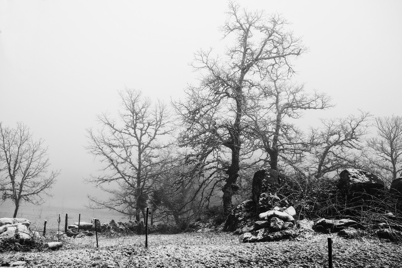 DSCF2927 -.jpg DSCF2927 -.jpg