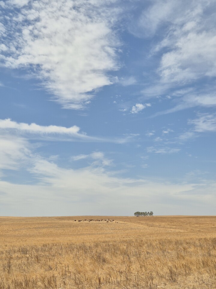 Caminho Alentejo.jpg