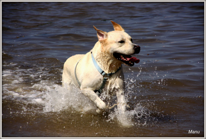 IMG_9337a.jpg IMG_9337a.jpg