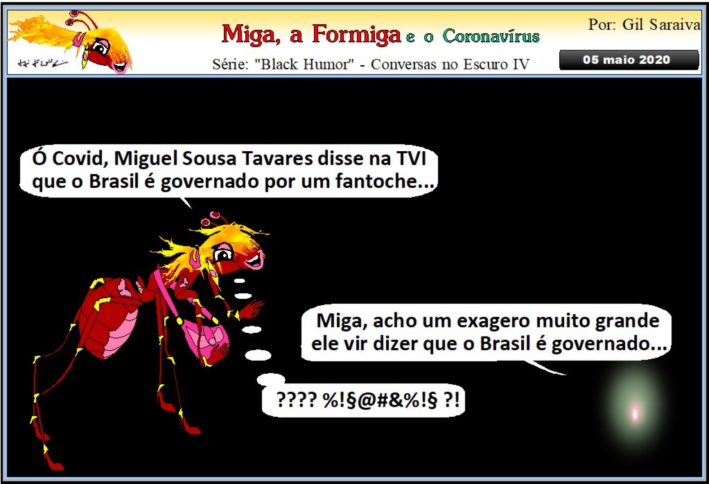 Miga649.JPG