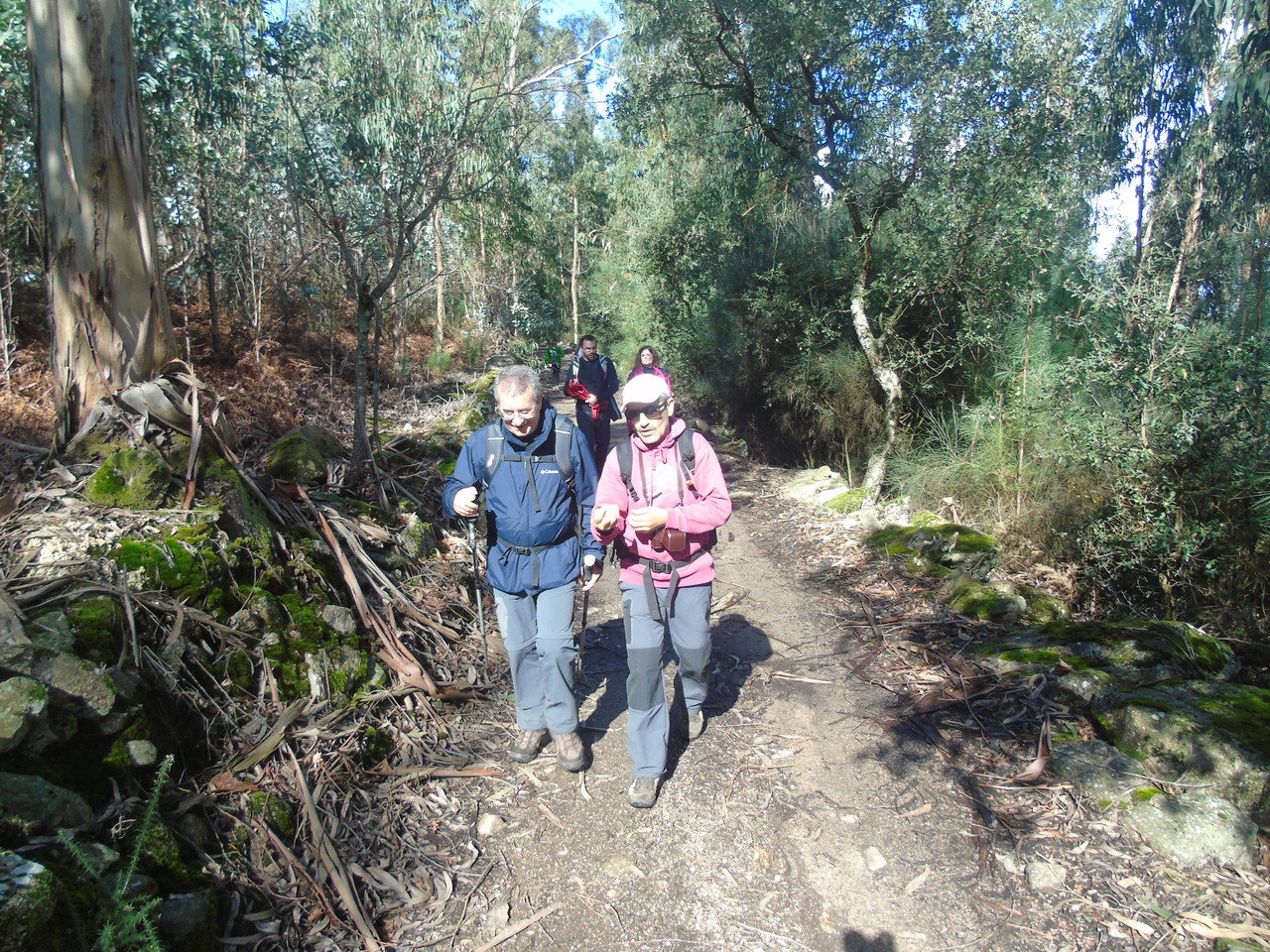 DSC08748.JPG DSC08748.JPG