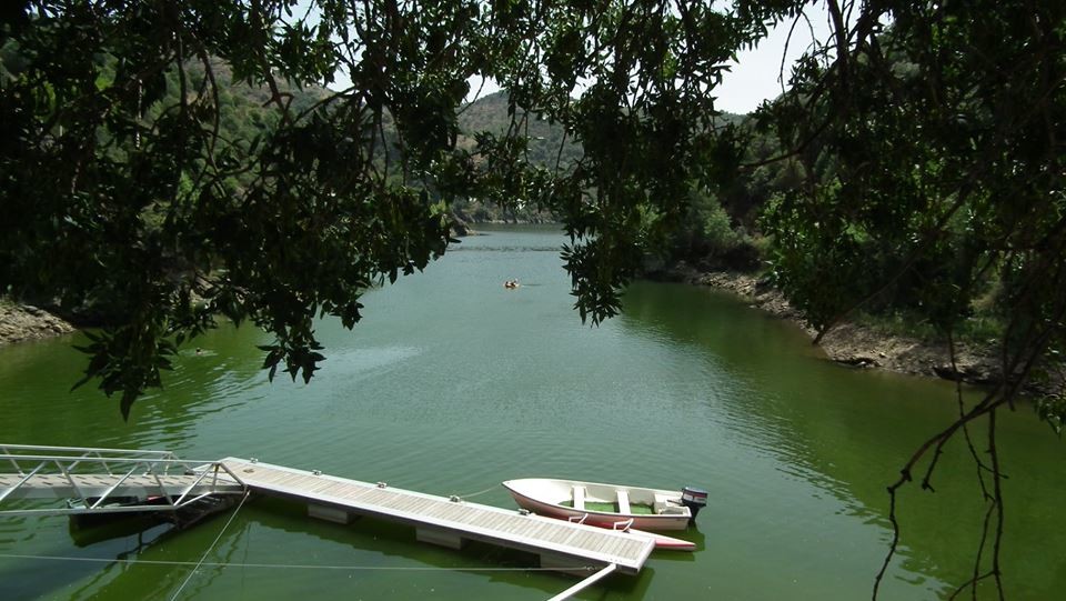 38665127_2271810042861096_5947688445420765184_n.jp