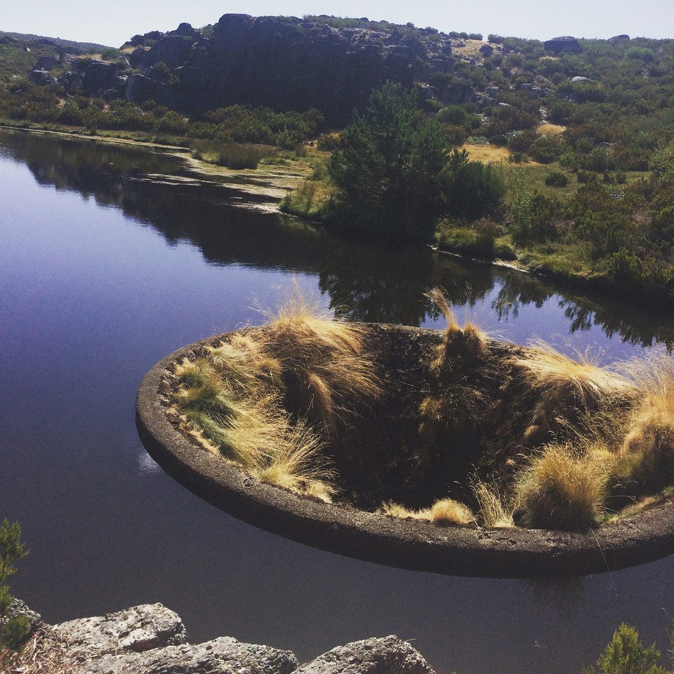 IMG_4451.JPG IMG_4451.JPG