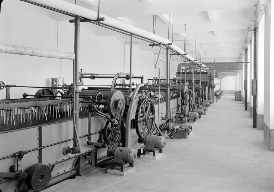 26731691_10204112580091232_3021388309888871483_n.j 26731691_10204112580091232_3021388309888871483_n.j