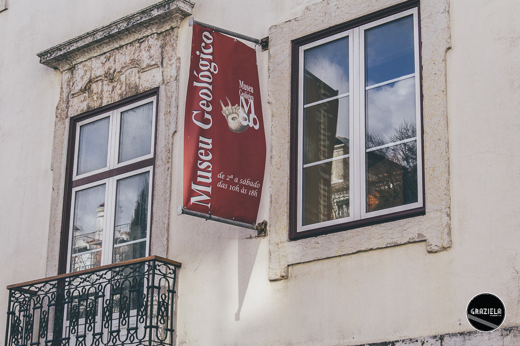 Museu_Geologico_de_Lisboa-017043.jpg