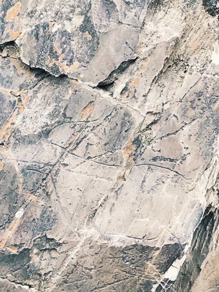 admiravel mundo novo.JPG