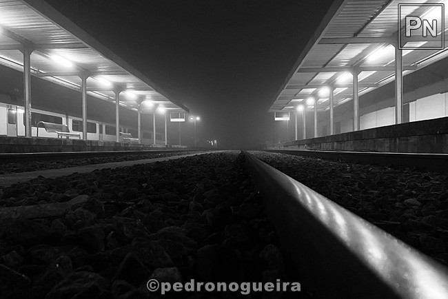 Nov_2020_038 3_2 650px.jpg