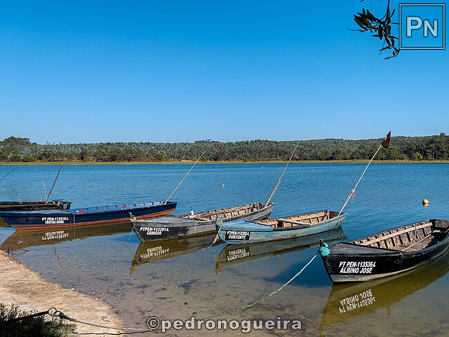 Jul_2025_028 650px.jpg