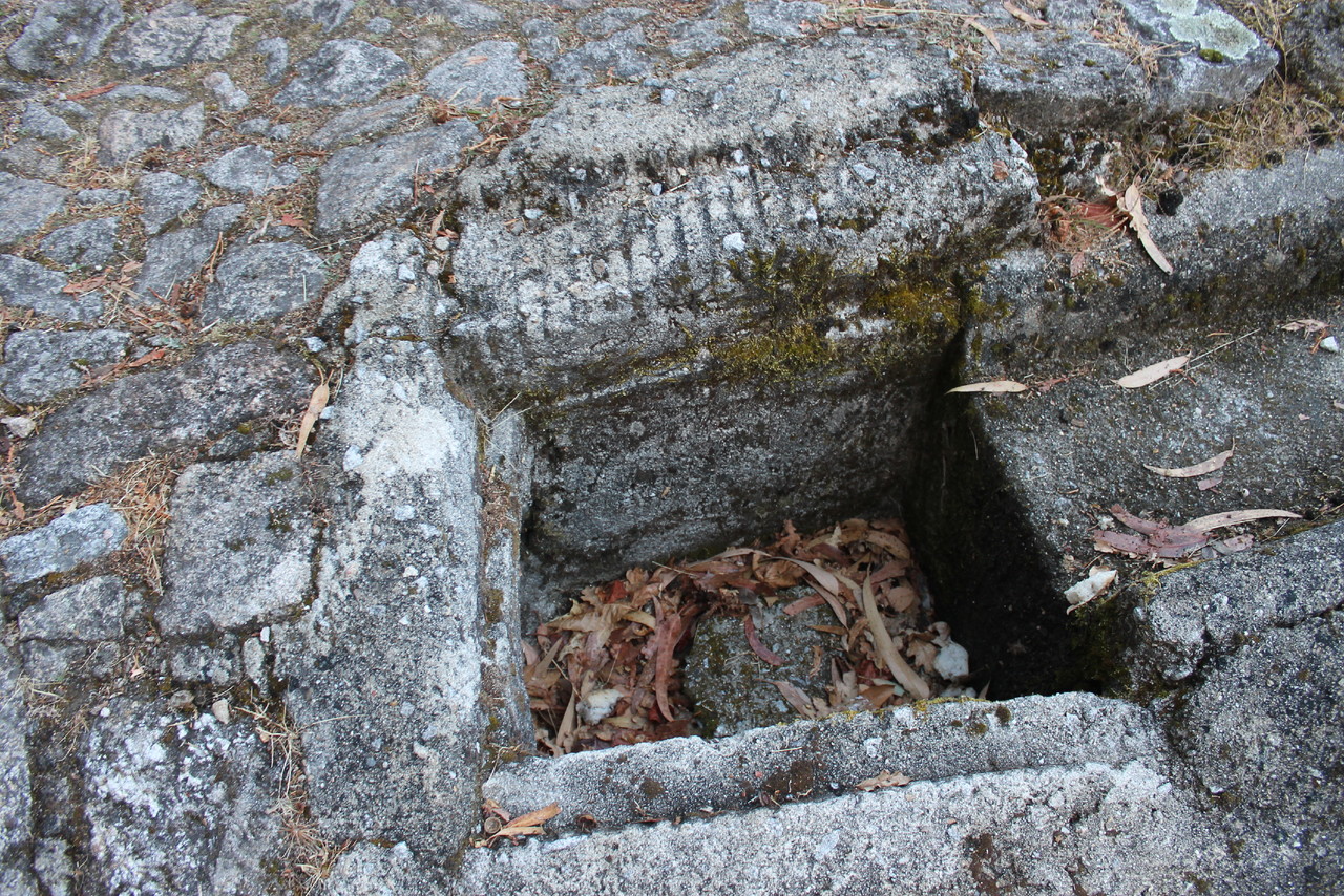 IMG_0824.JPG IMG_0824.JPG