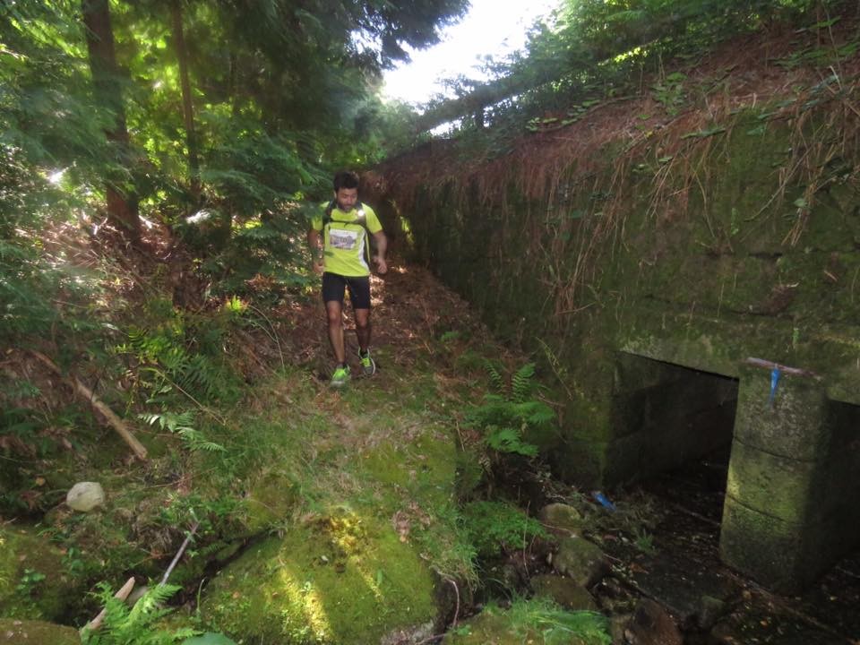 13528971_1234053286612412_2455053760825311252_n.jp