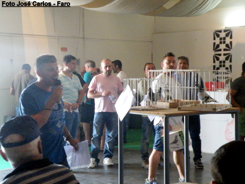 Aljustrel 2017 069.JPG