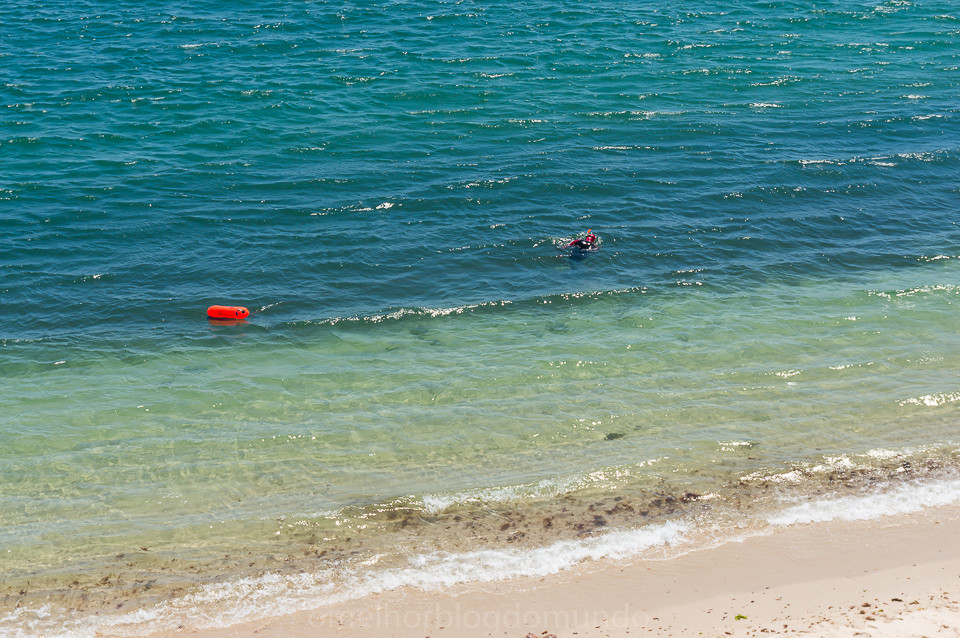 DSC04231.jpg DSC04231.jpg