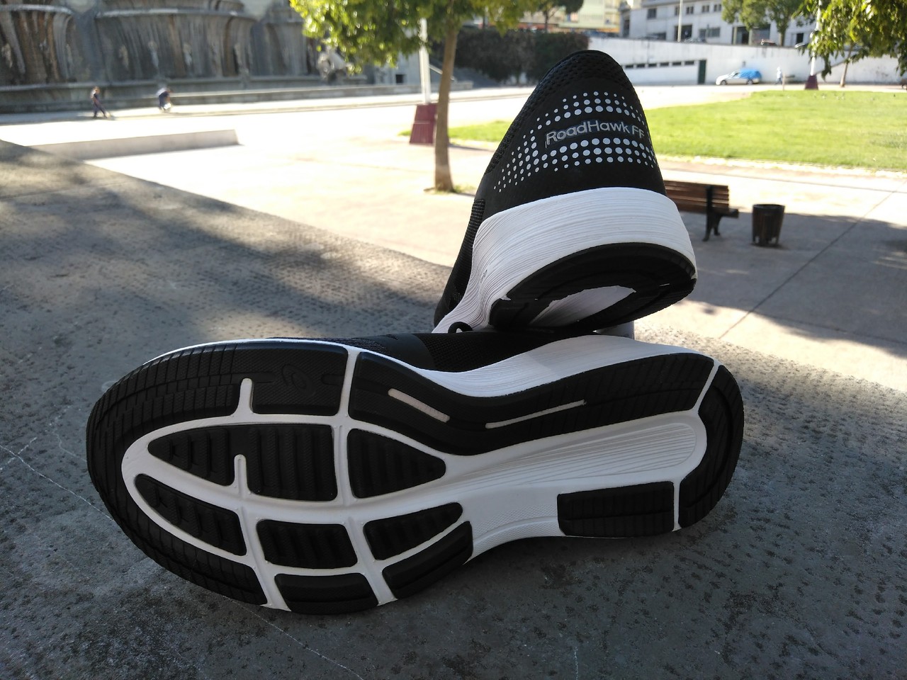 ASICS Roadhawk (1).jpg