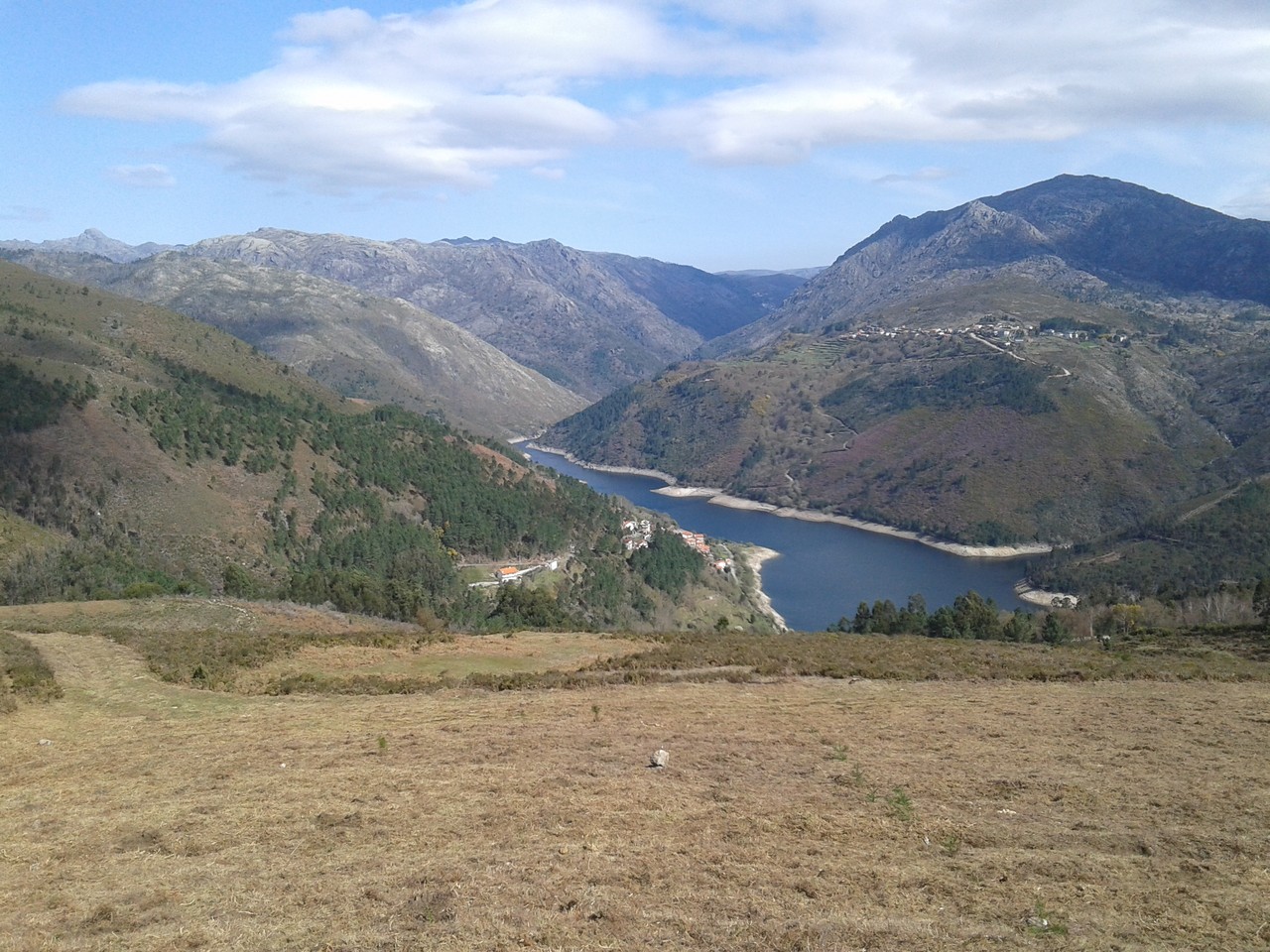 Plantacao500Arvores_1