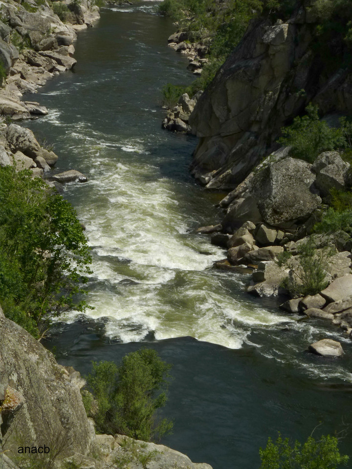 Passeio na antiga linha do Tua, Junho 2016